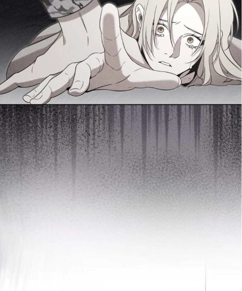 ch 16 97