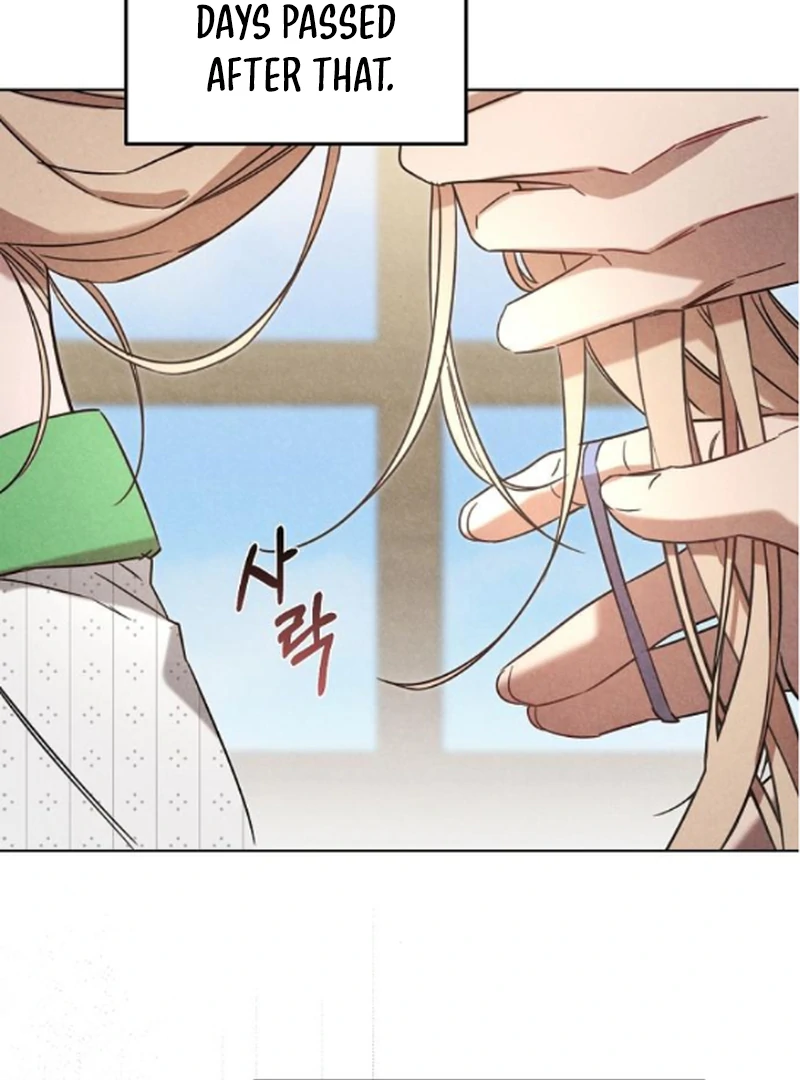 ch 17 28