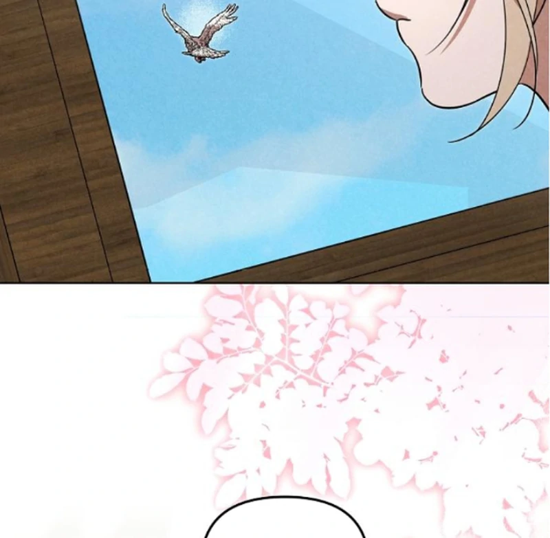 ch 17 46
