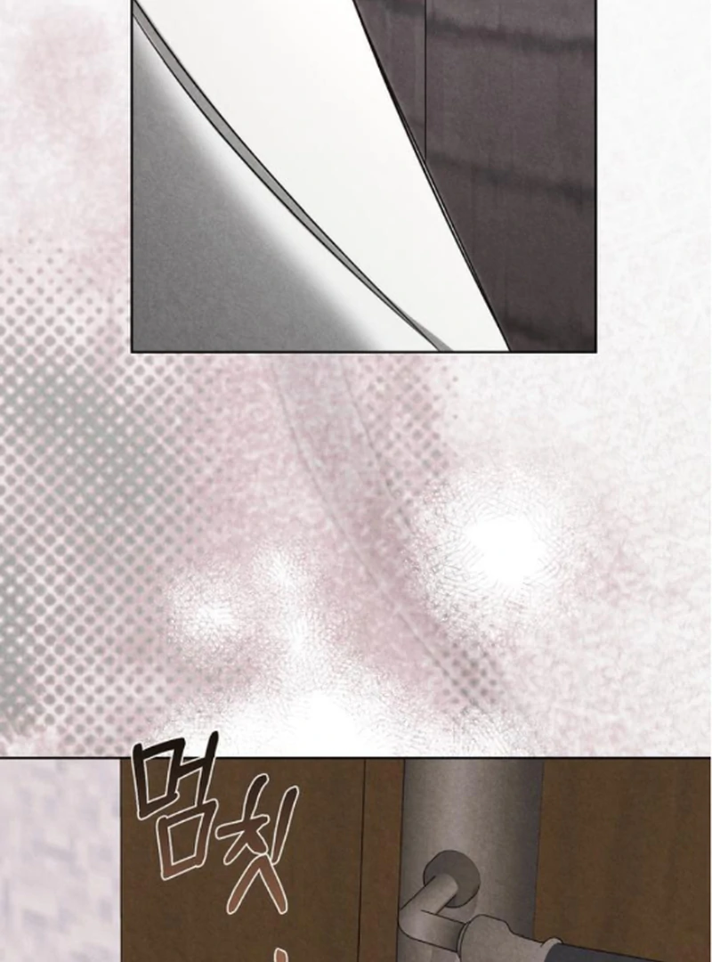 ch 19 41