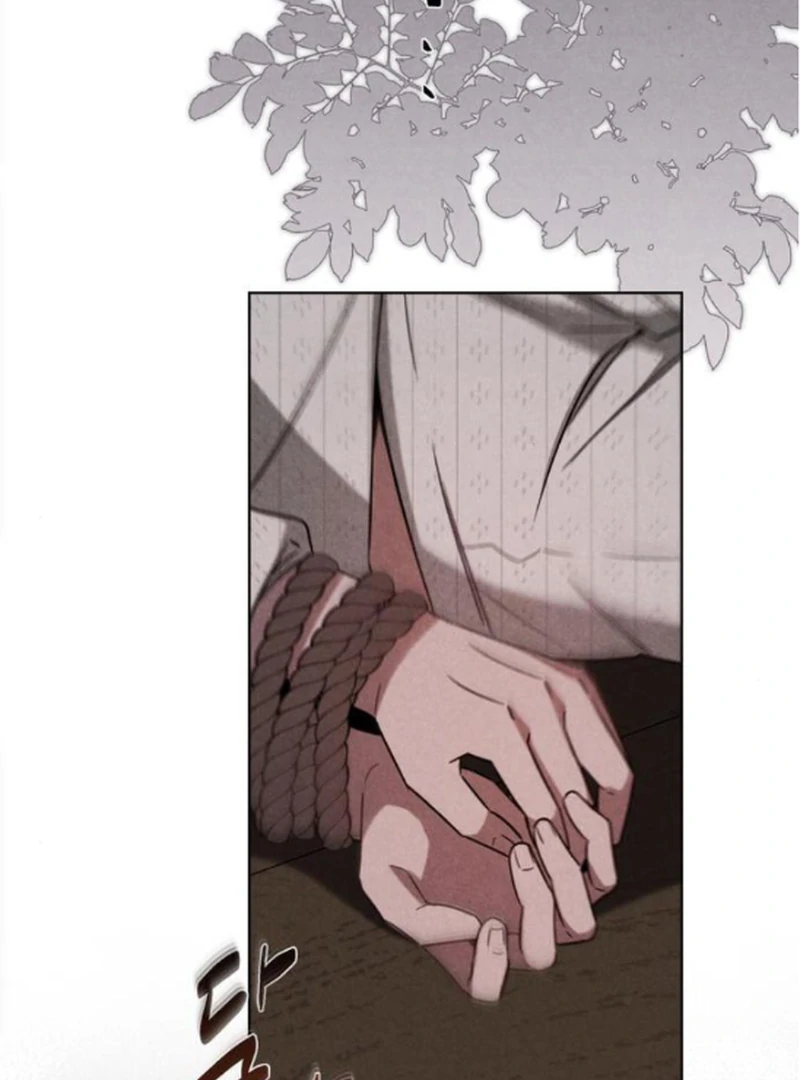 ch 20 5