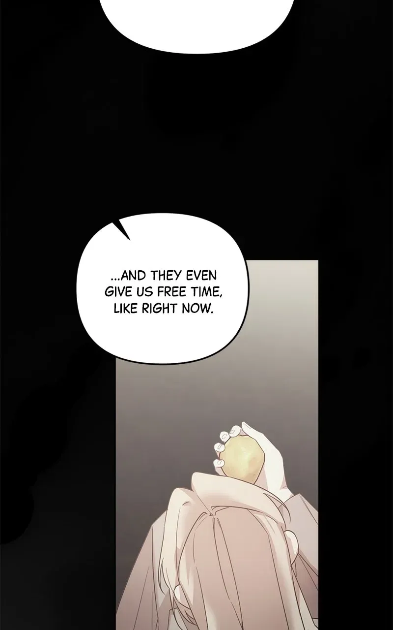 At the Place Where the Golden Rose Broke Chapter 44 332 71ac6edd8b08