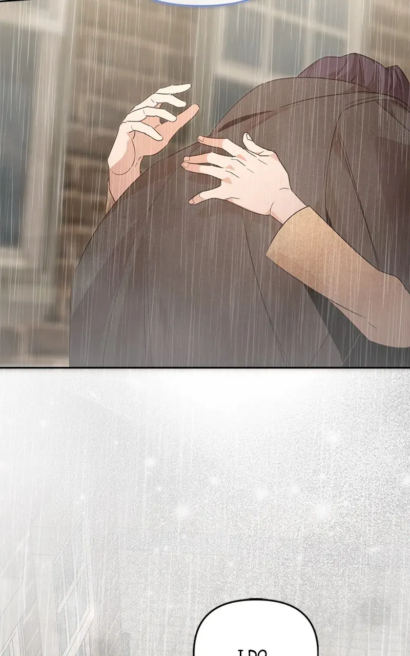 4d44c8ed56db