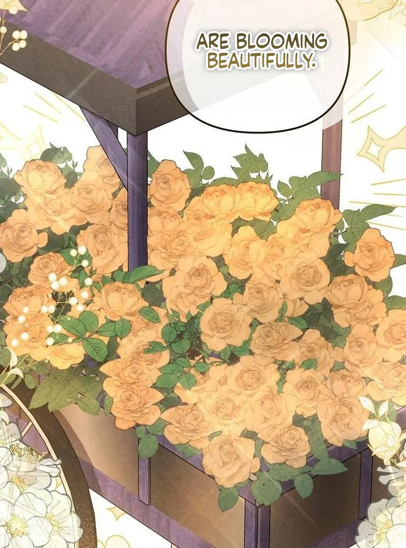 ch 8 121