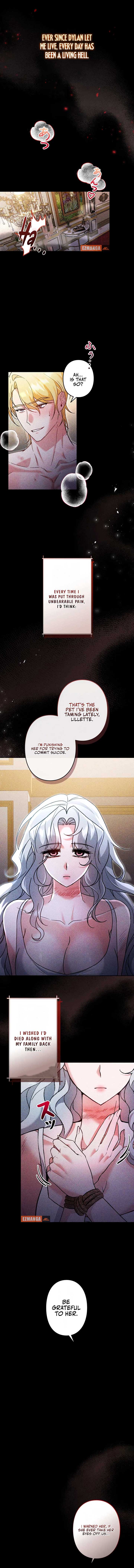 ch 3 6