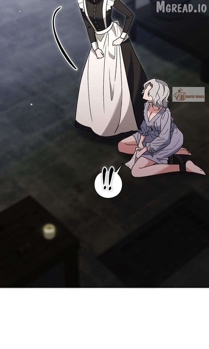ch 41 100