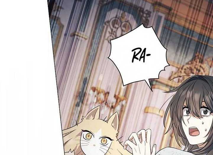 ch 13 136