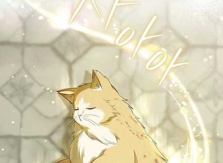 ch 13 17