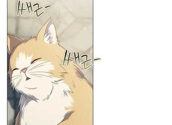 ch 13 26