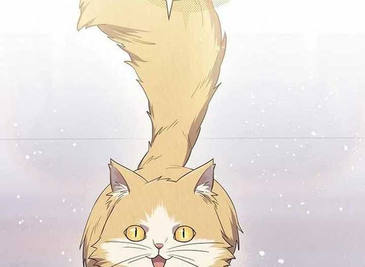 ch 13 92