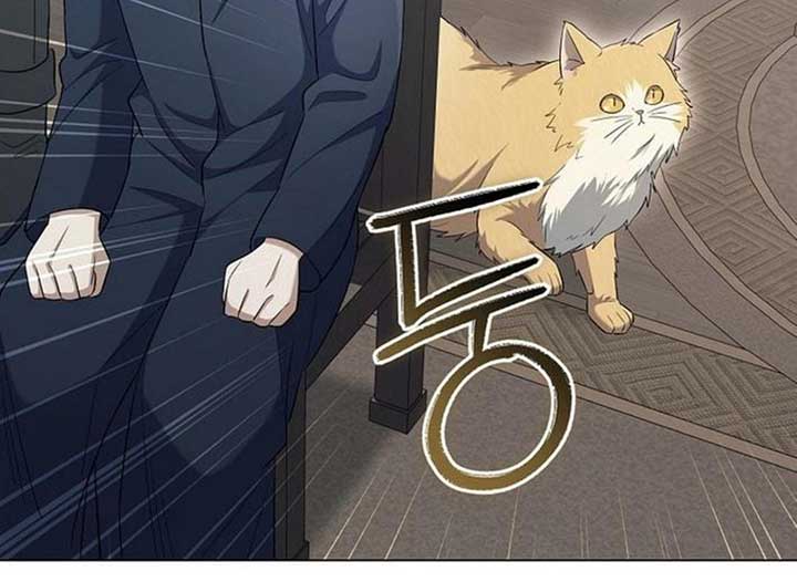 066