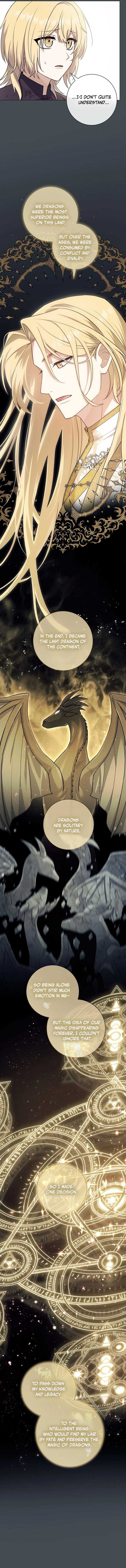 ch 5 4