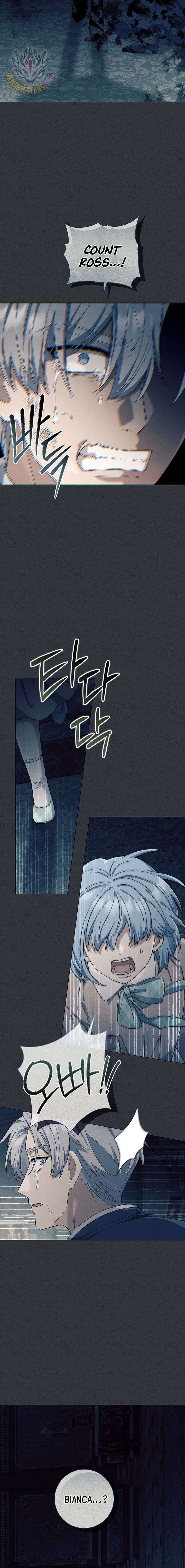 ch 52 8