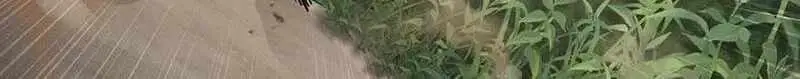 3351e7dcef69