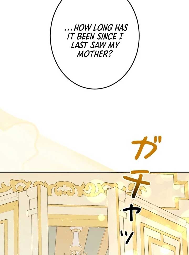 ch 7 101