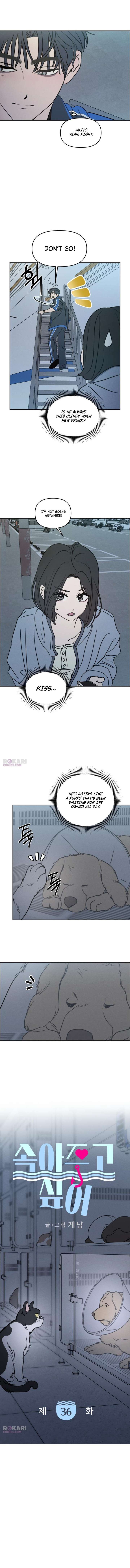 ch 36 5