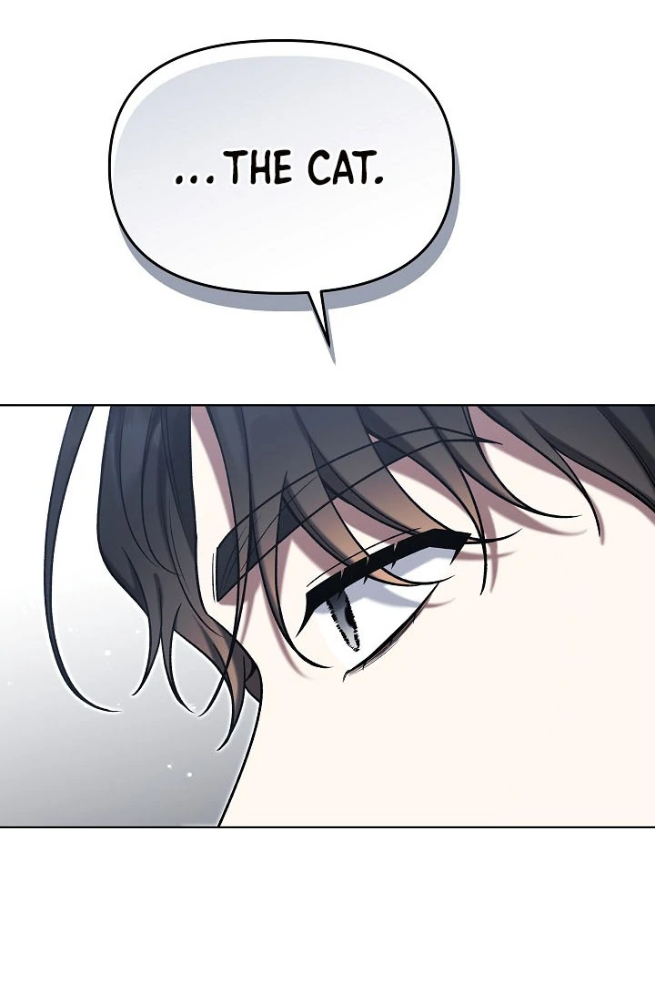 ch 9 18