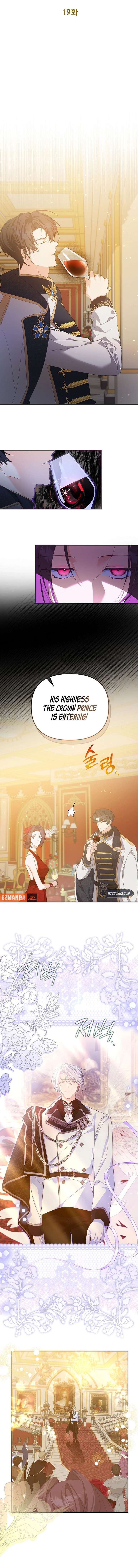 ch 19 7