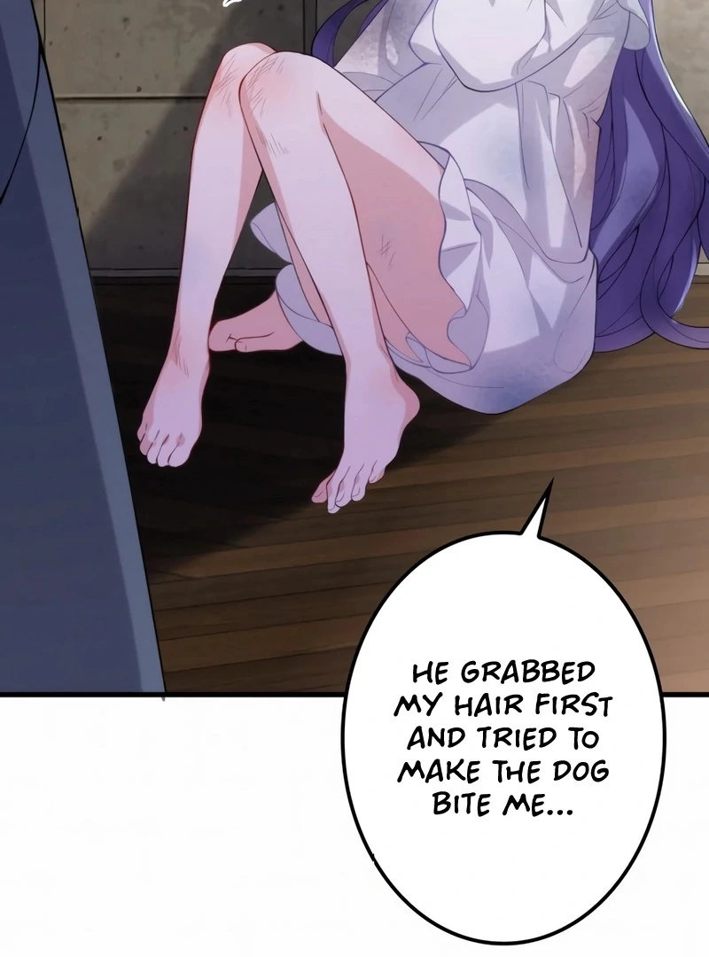 The Sold Young Lady Is Protected by Her Brothers Chapter 1 258 ch 1 8
