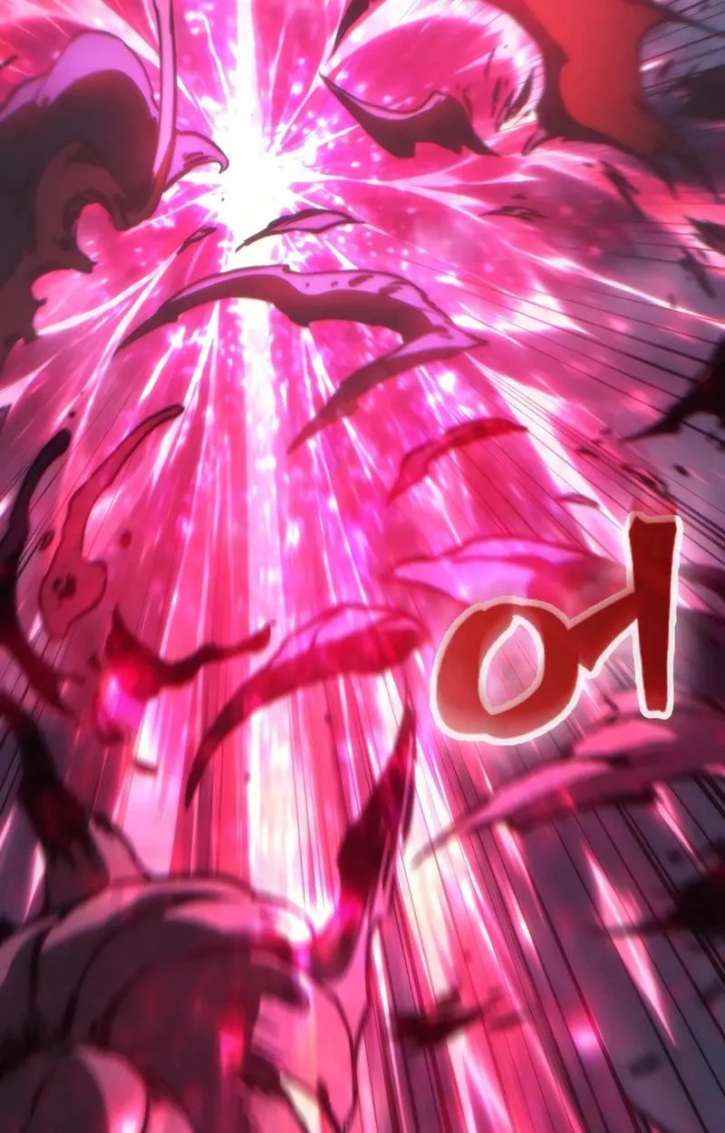 b2d509e366e3