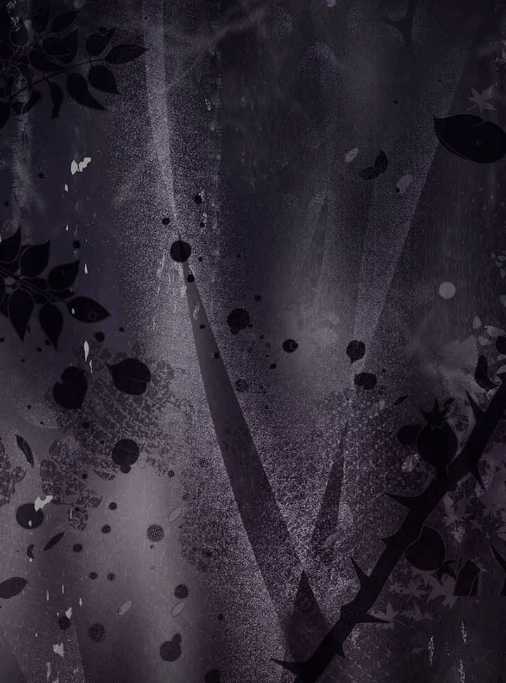 ch 11 157