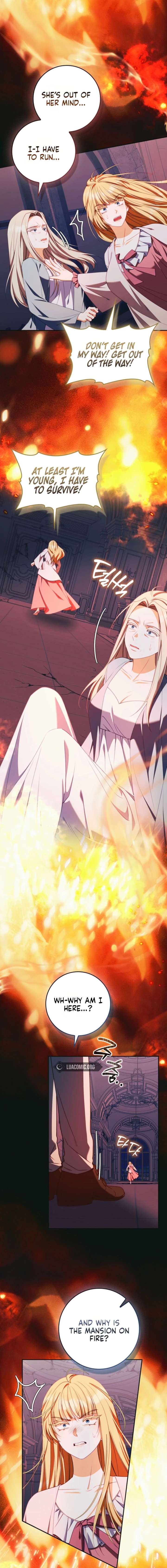ch 48 15