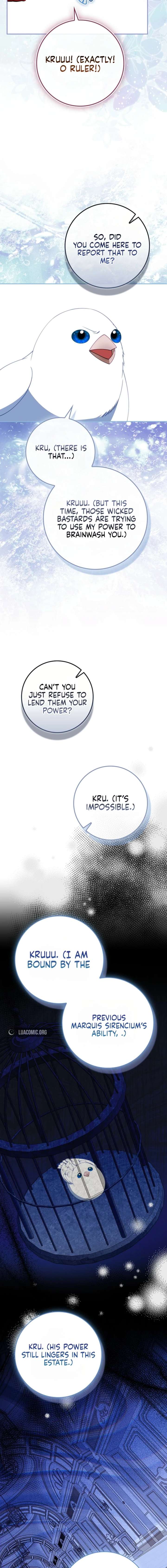 ch 48 5