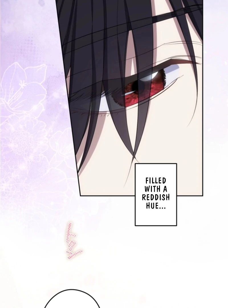 The Grim Reaper Duke’s Obsessive Contract Mother Chapter 25 289 63