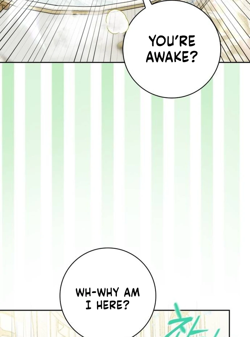 ch 11 6