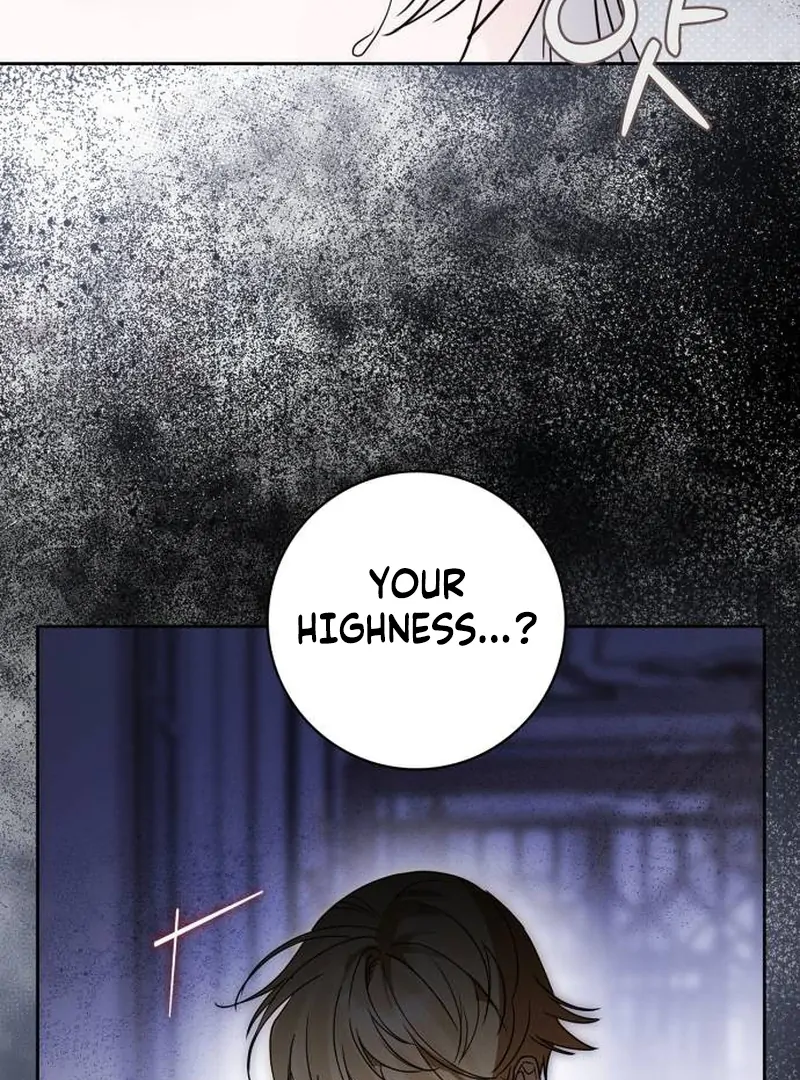 ch 12 101