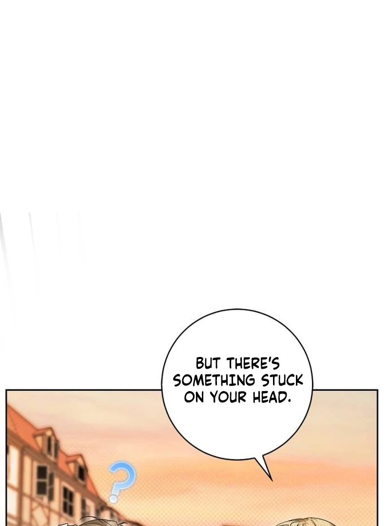 ch 12 11