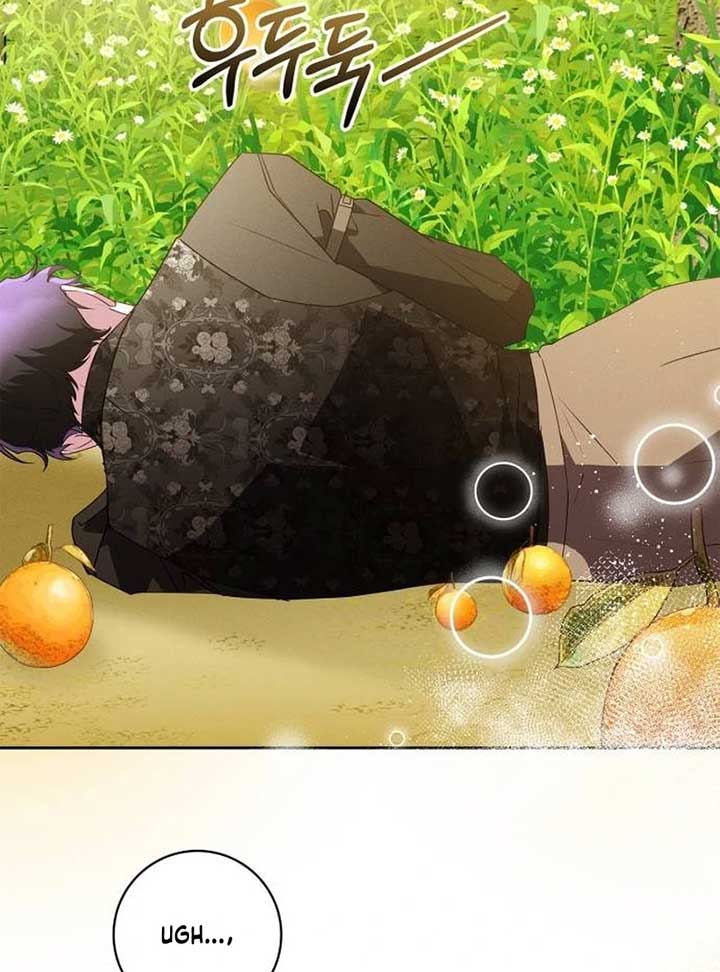 ch 4 101