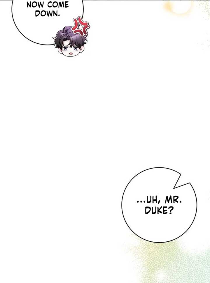 ch 4 81
