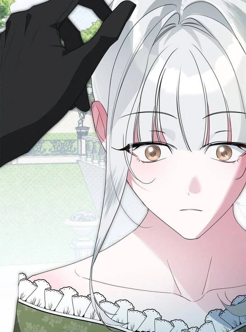 ch 6 36