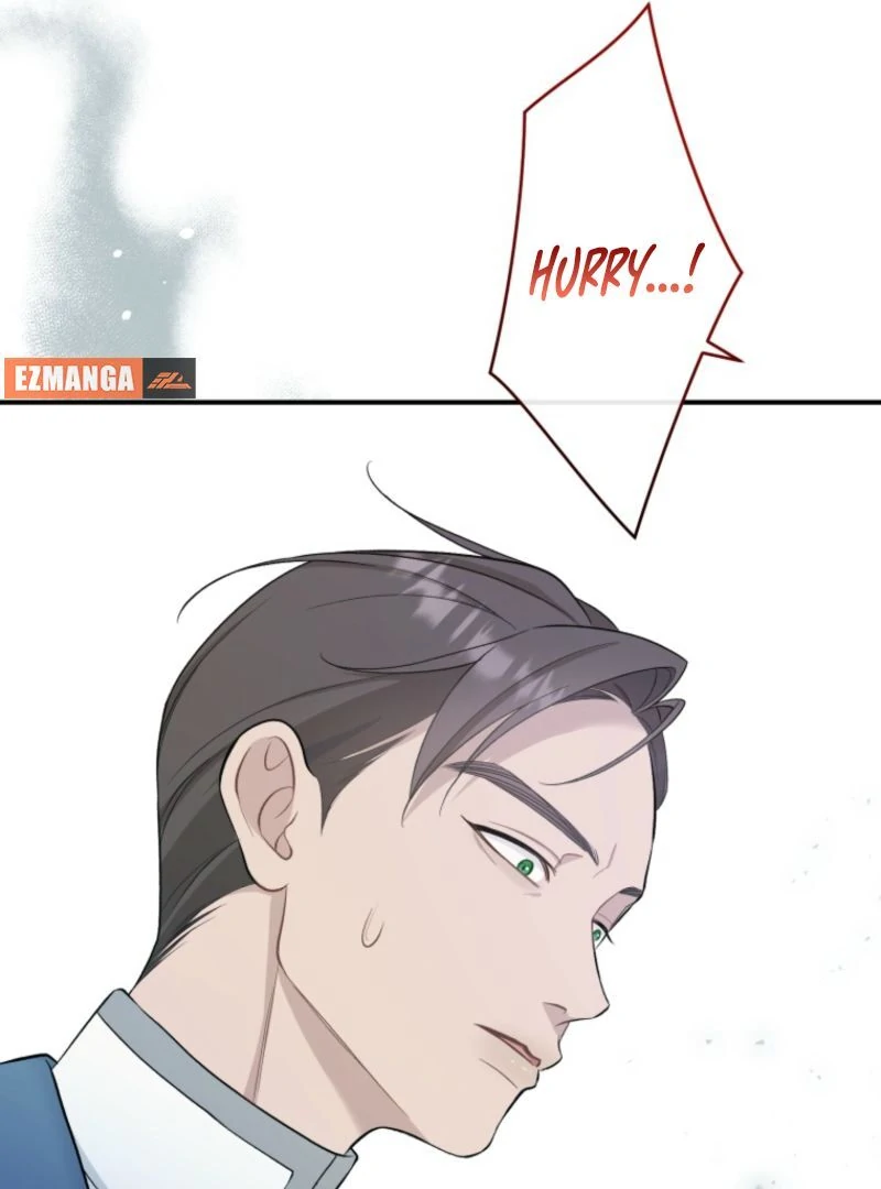 ch 16 65