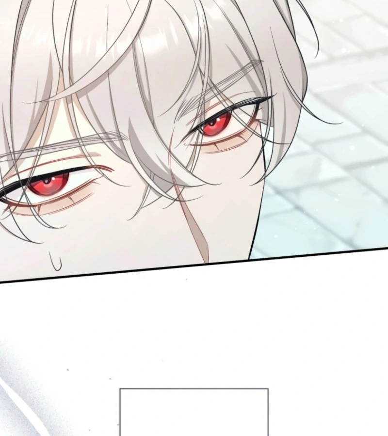 ch 24 107