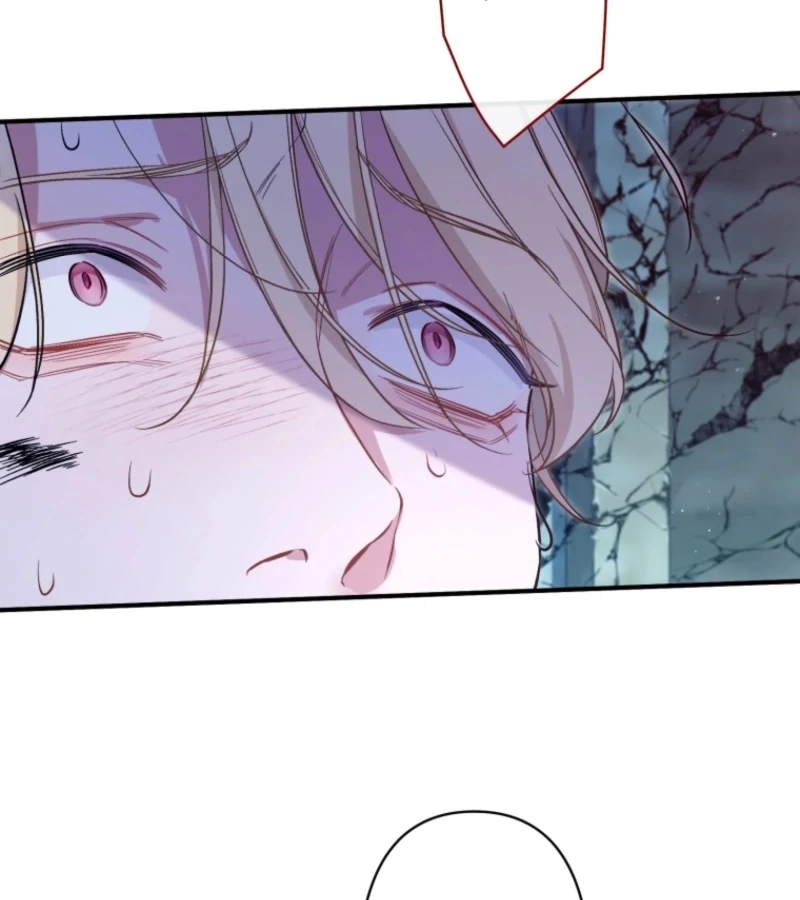 ch 24 25