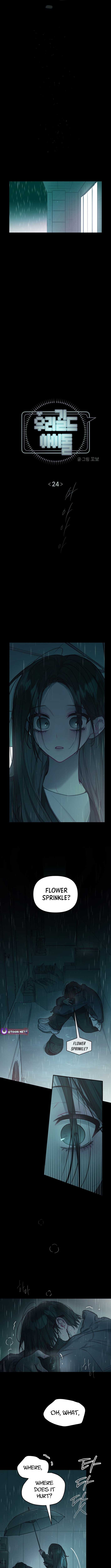 ch 24 3