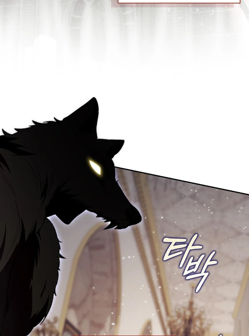 ch 19 4