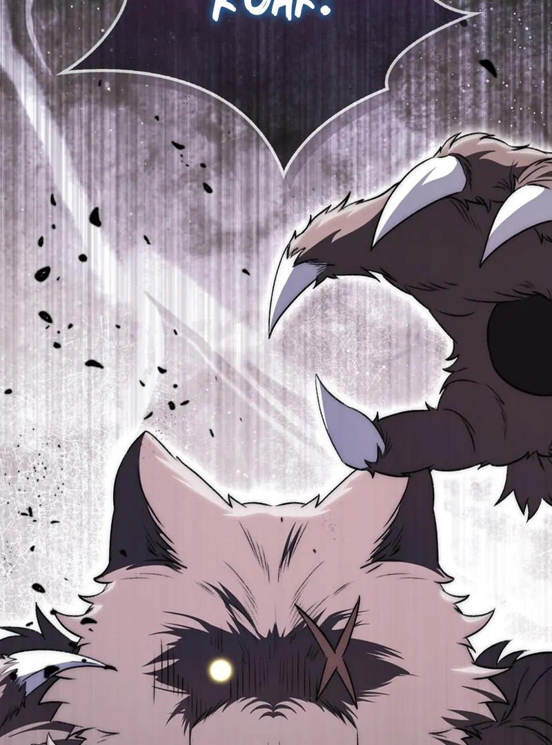 ch 19 6