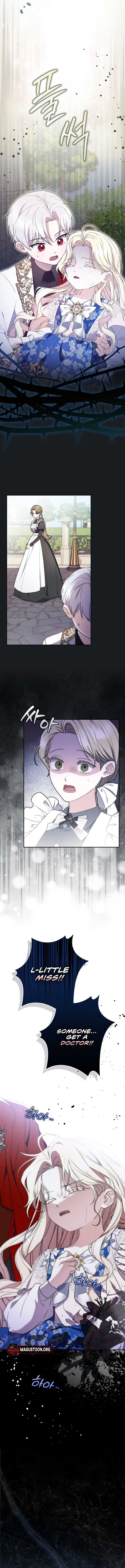 ch 2 11