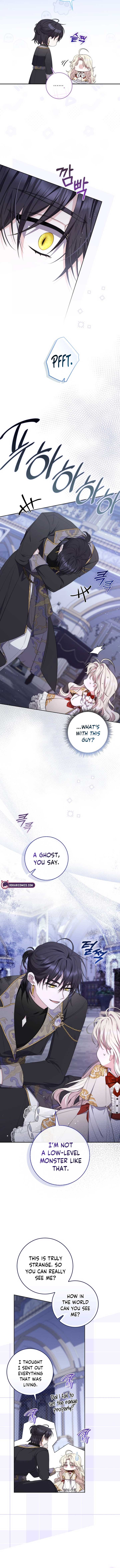 ch 21 6