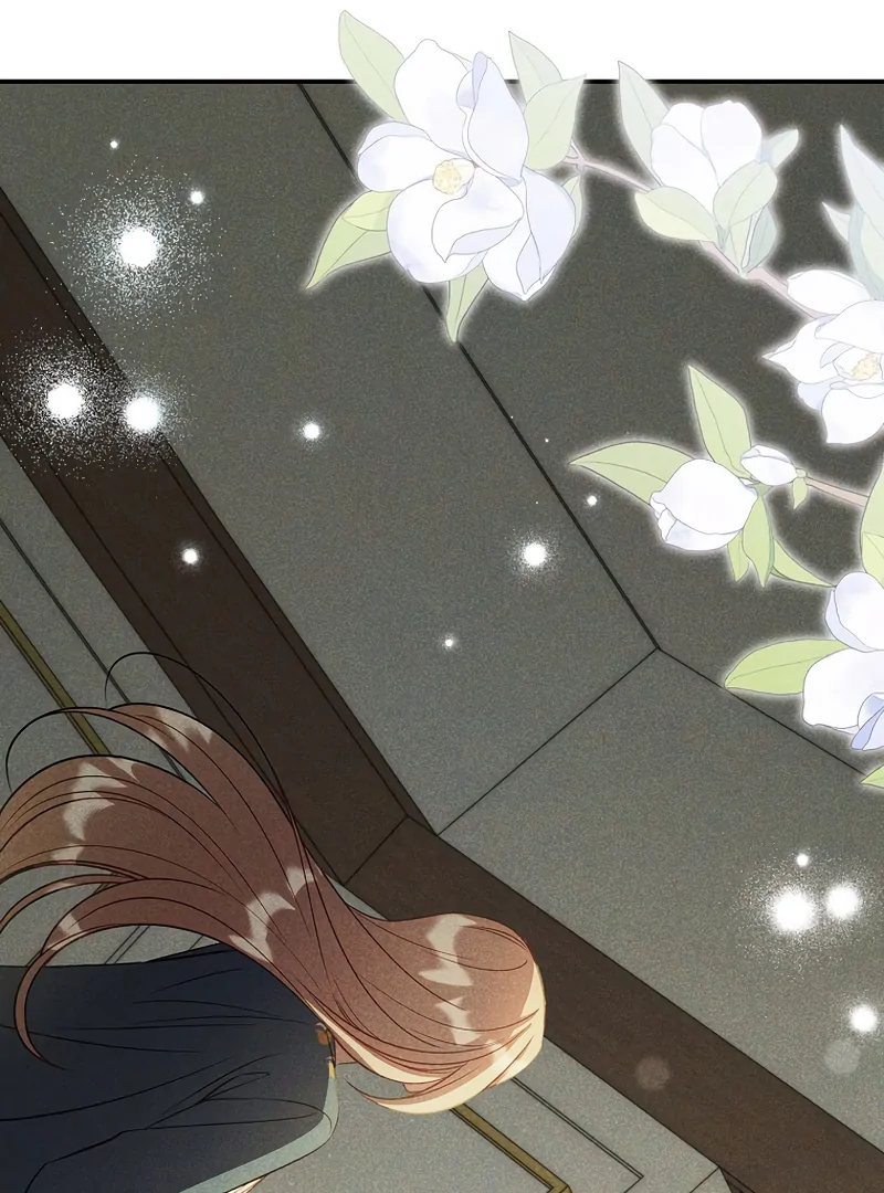 ch 16 80