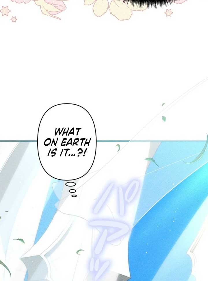 ch 24 74