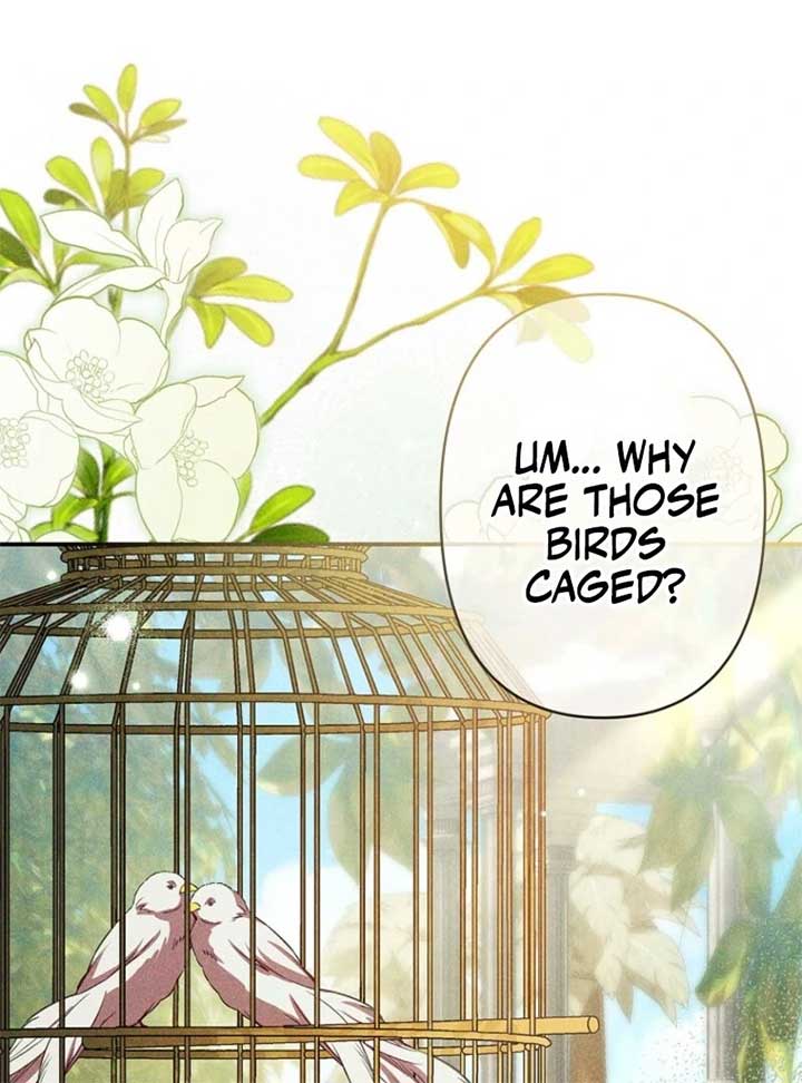 ch 24 95