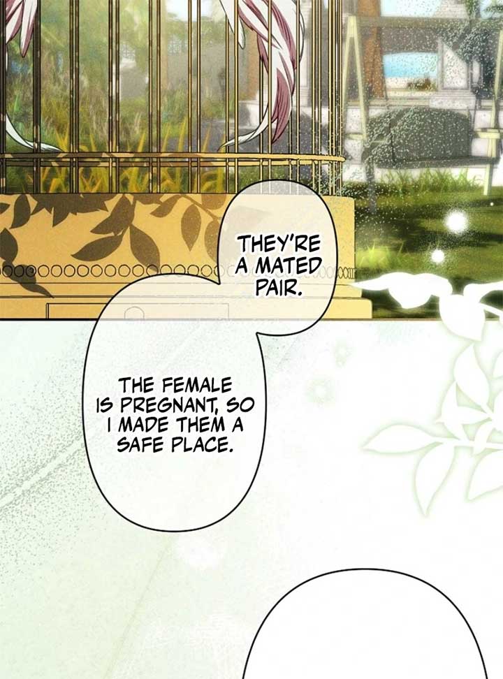 ch 24 96