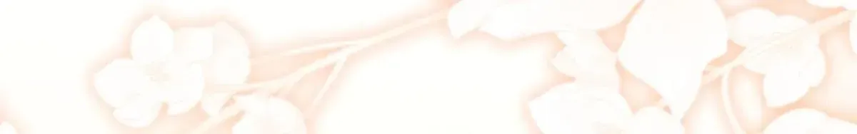 078