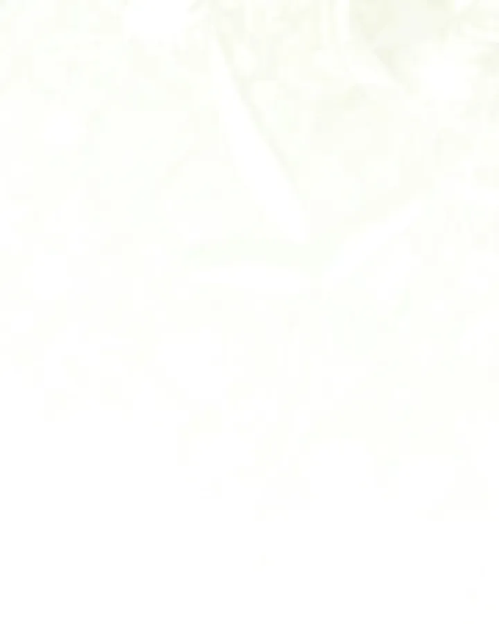 080 result