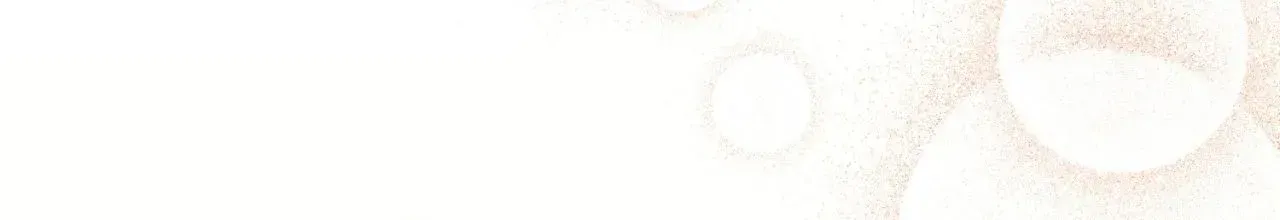 f161c4571b96 58 webp