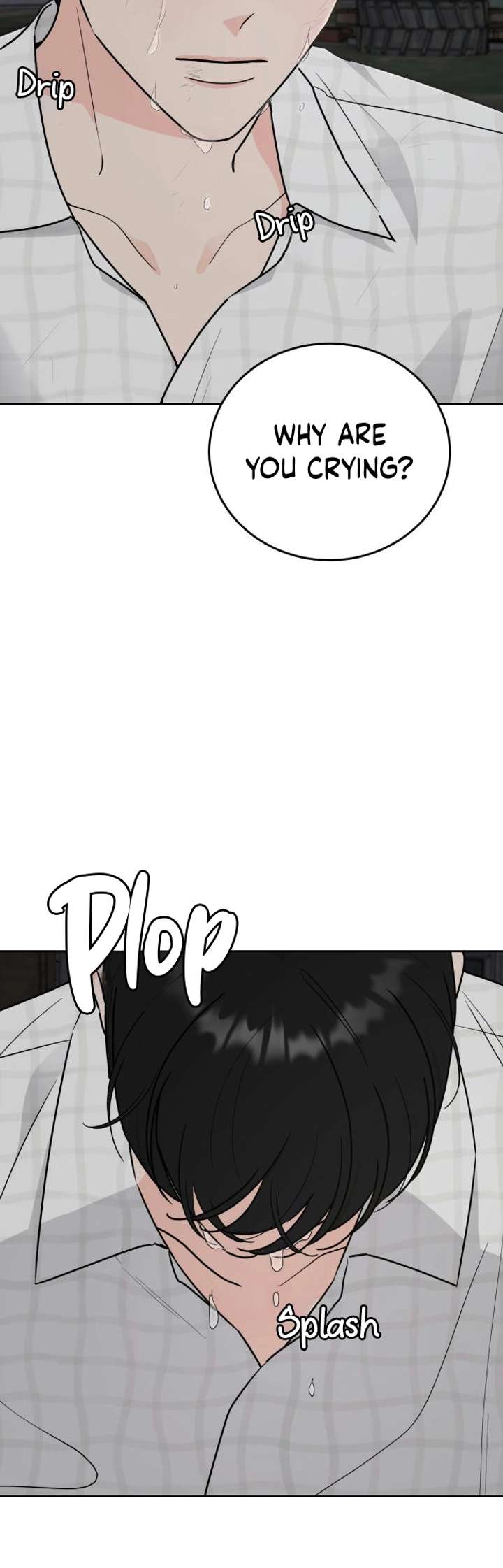 ch 16 19